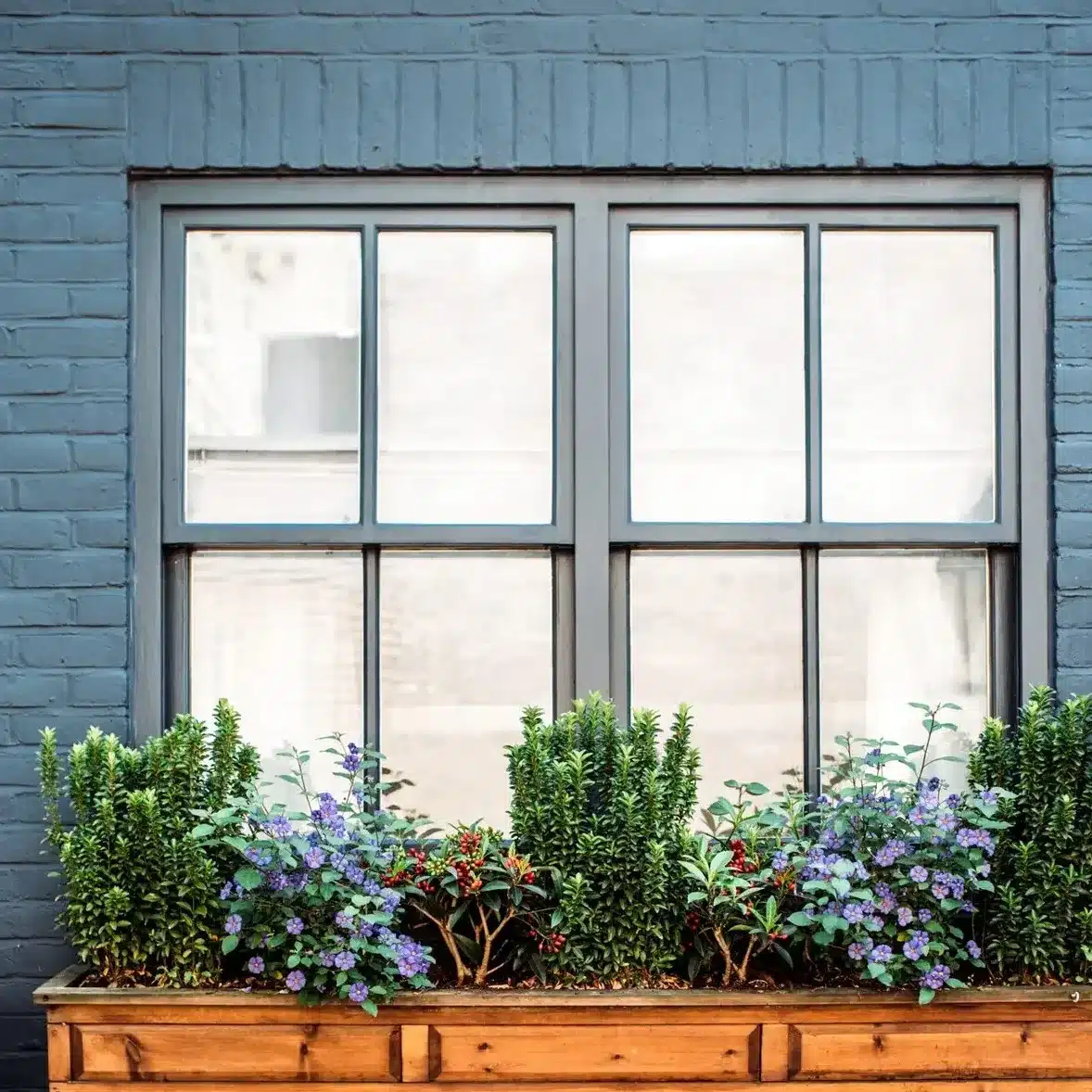 Grey brick exterior wall with a large dark grey window and a wooden window box filled with green plants and purple flowers